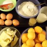 Warenkorb: Obstkuchen mit Mirabellen