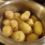 Kartoffeln kochen (Pellkartoffeln)