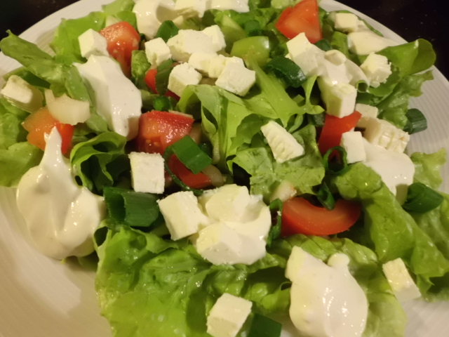 der erste frische Salat aus dem Garten