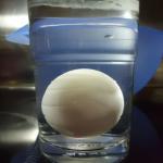 Frischetest: Ei liegt im gefüllten Wasserglas auf dem Boden,sehr frisch