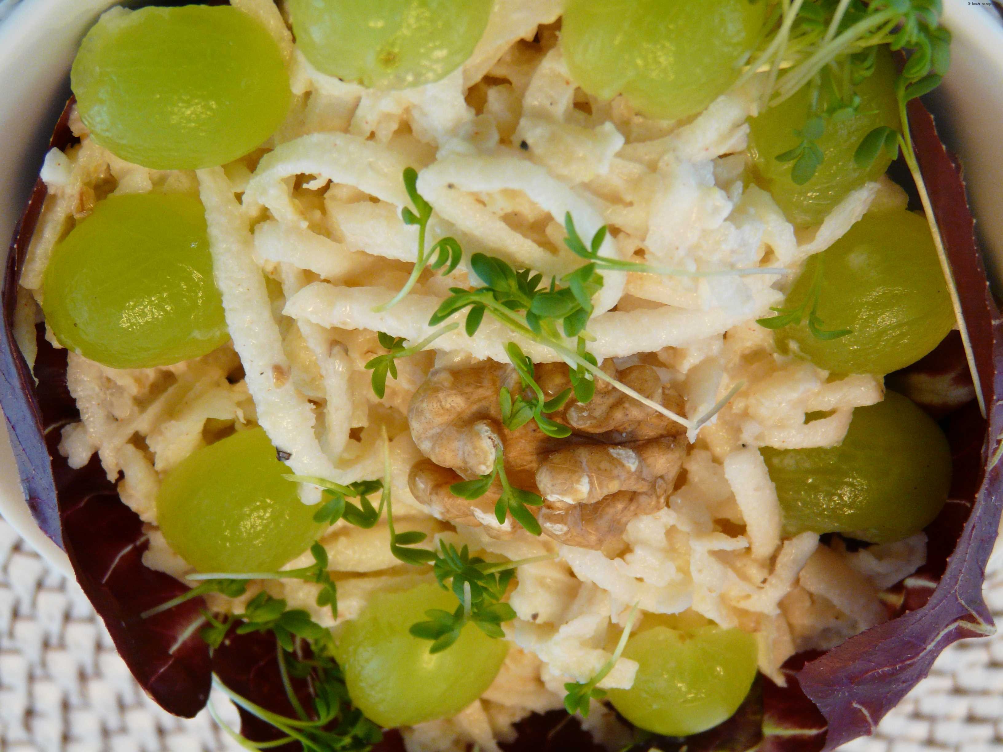 Waldorfsalat klassisch Selleriesalat roh Rezept von Oma aus den 60er.