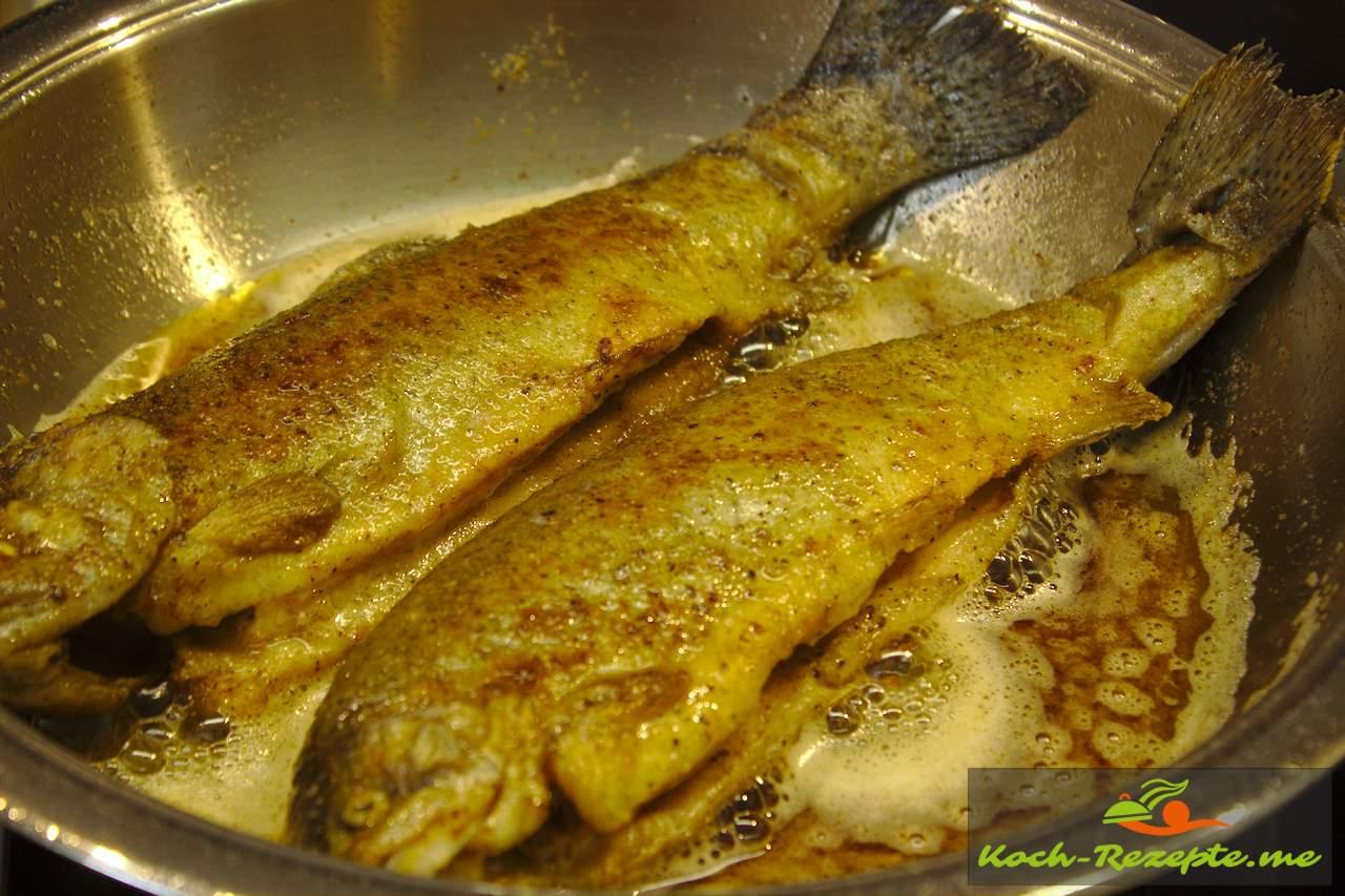 Forelle Müllerin-Art mit Pellkartoffeln und Weißweinsoße,Salat