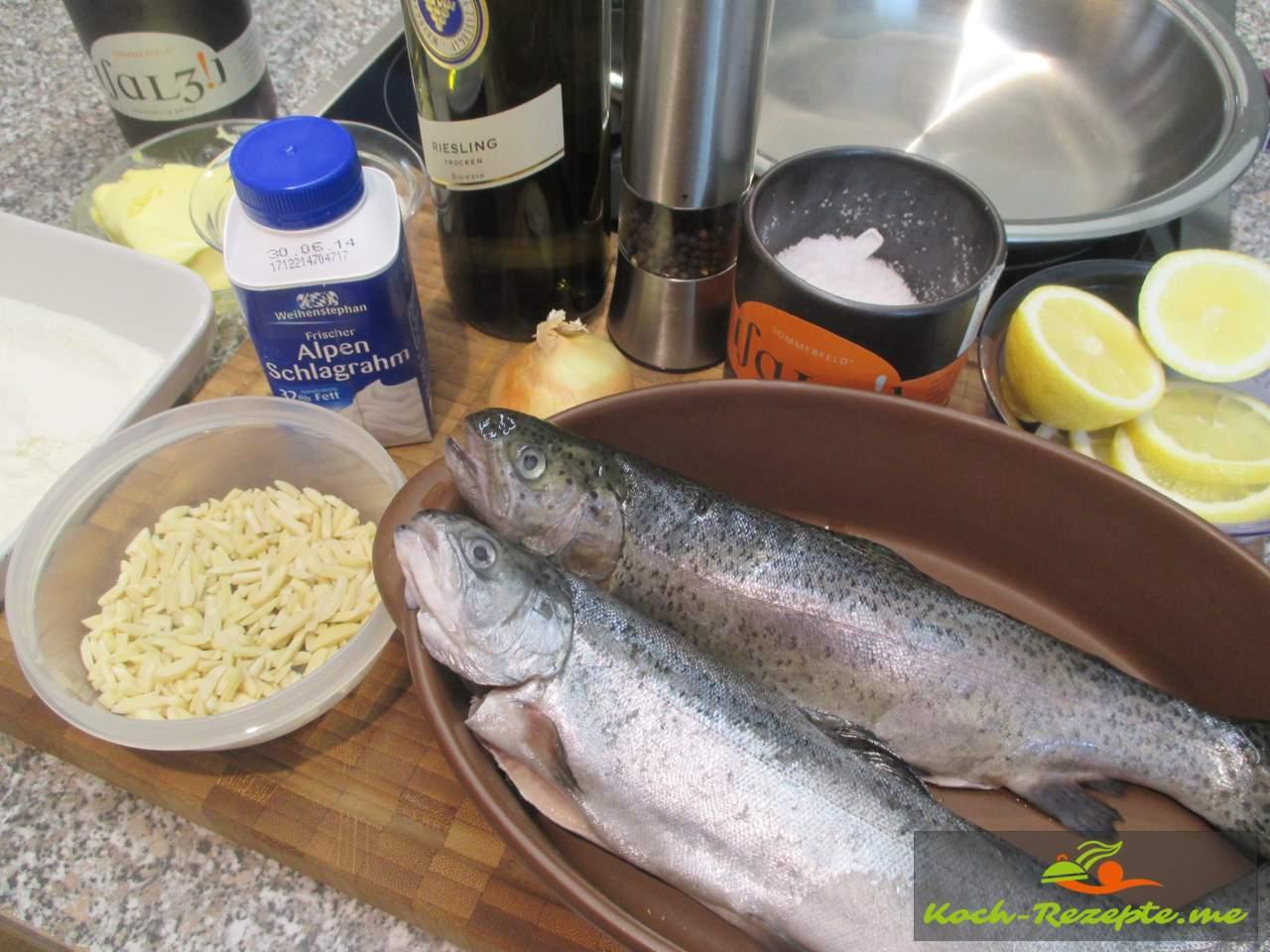 Forelle Müllerin-Art mit Pellkartoffeln und Weißweinsoße,Salat